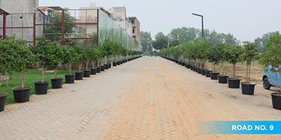 Roots Courtyard 2 - Construction Update - october 2025